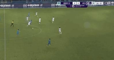 阿拉斯加北极熊2020
