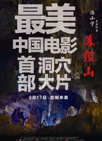 喜欢自由的友谊
