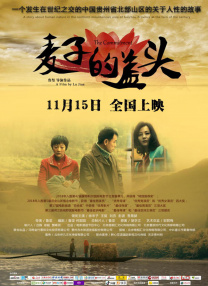 热裤的堂姐